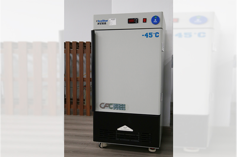 Vertical Low-Temperature-45℃ Test Chamber